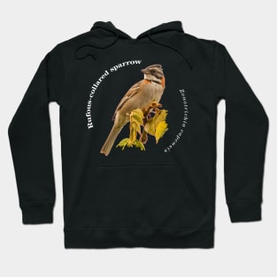 Rufous-collared sparrow bird pin white text Hoodie